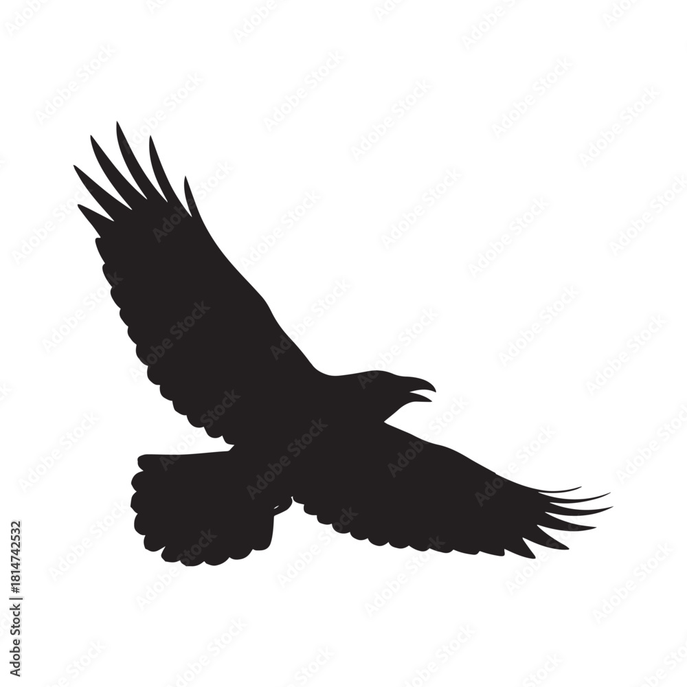 Obraz premium Raven bird silhouette