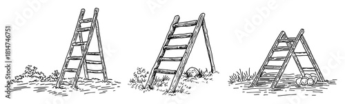wooden stepladders set in a garden hand drawn vector sketch illustration