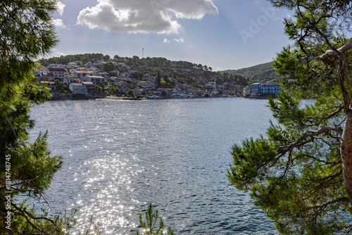 Fototapeta Naklejka Na Ścianę i Meble -  Scenic Coastal Tree By the Sea Overlooking a Quiet Mediterranean Village on a Sunny Day, Stomorska, Croatia