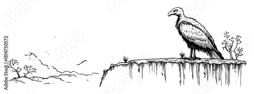vulture perched on cliff hand drawn sketch