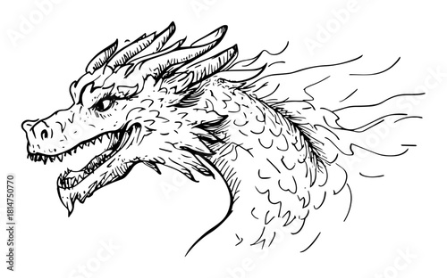 dragon head in flame hand drawn illustration