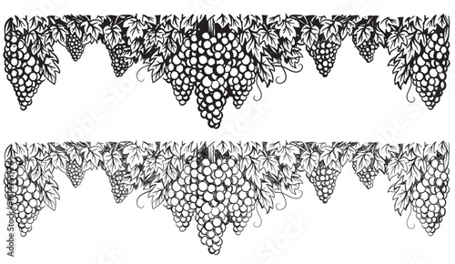 Grapes vineyard, grapevine with bunches of grapes in center. Hand-drawn in ink and sketch style of vineyard grapes and leaves for wine design.Wine labels design, branding border hand drawn decorative