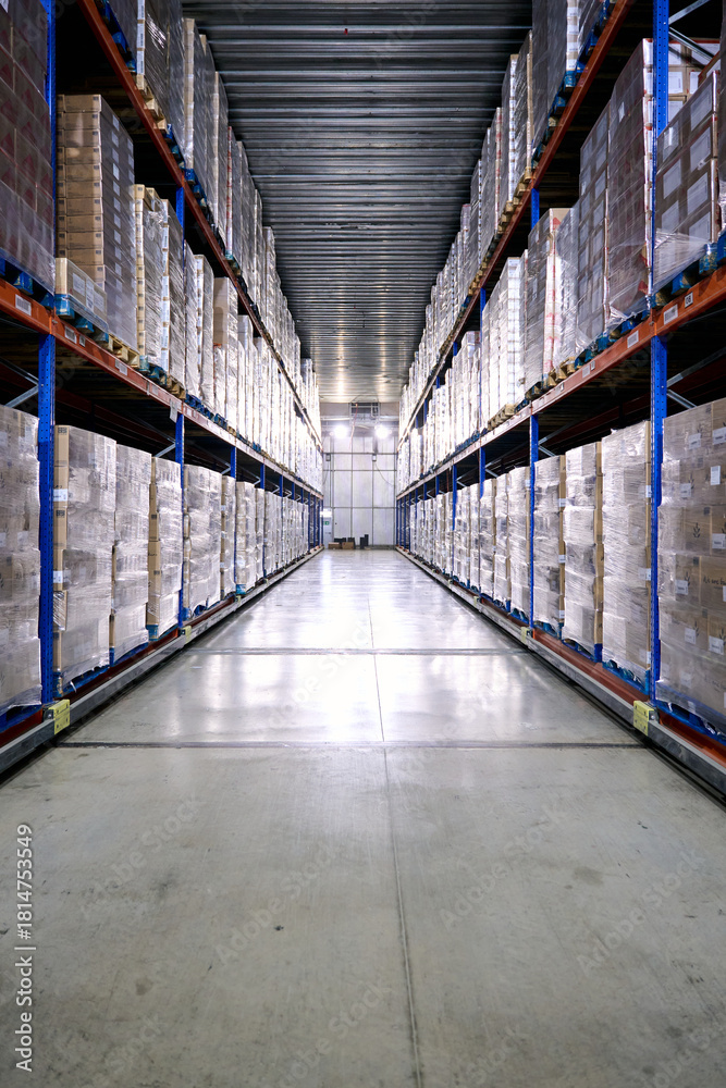 Fototapeta premium Warehouse aisle with pallets storing products for logistics