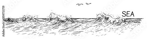 sea waves with birds hand drawn illustration
