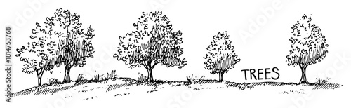hand drawn trees with label text