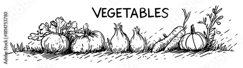 vegetable collection sketch with label