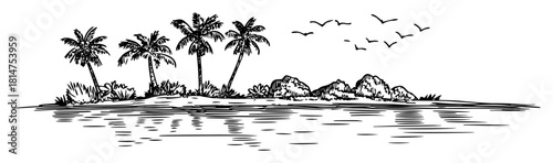 tropical island with palm trees and birds