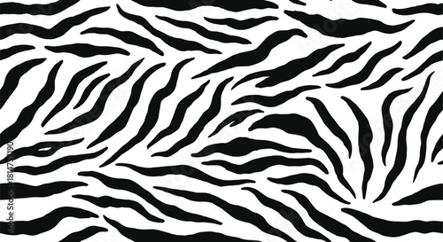 Black and white zebra stripe pattern for background or textile design