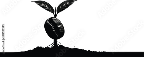 Coffee bean sprout silhouette from soil, symbolizing new life, growth, and origin of coffee
