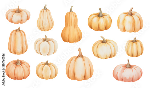 Soft pastel pumpkin watercolor bundle. Natural harvest pumpkin watercolor set.