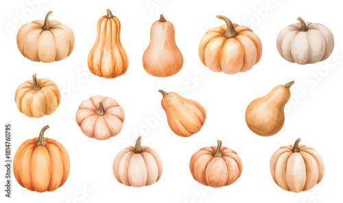 Soft pastel pumpkin watercolor bundle. Natural harvest pumpkin watercolor set.