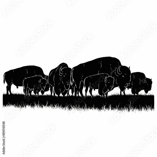 Silhouette of a Herd of Buffalo Grazing in a Field.