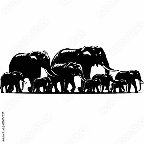 A herd of elephants walking together in silhouette.