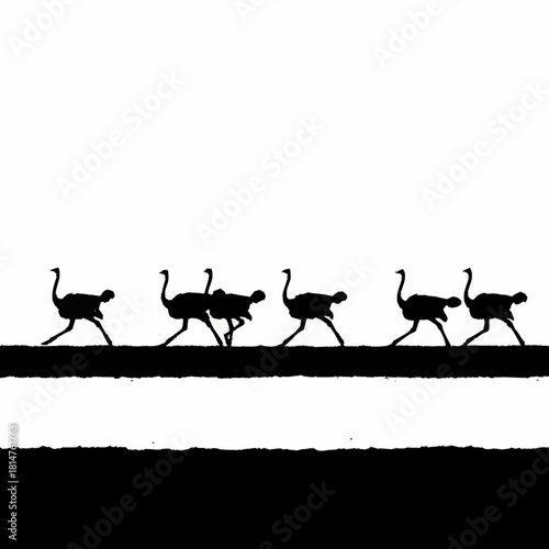Black silhouettes of six running ostriches in a single file line.
