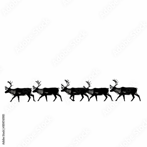 Silhouette of reindeer herd running across the snowy landscape.