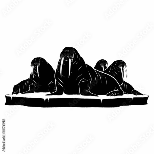 A group of four walruses with large tusks resting on an ice floe.