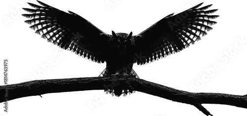 Silhouette of a great horned owl with wings spread wide, perched a tree branch