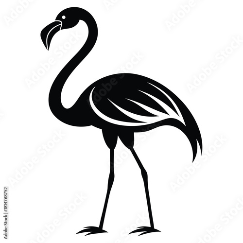 flamingo bird black and white silhouette on white background