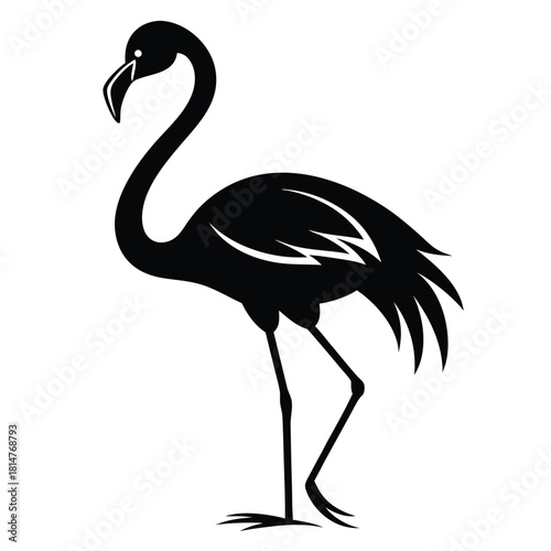 flamingo bird black and white silhouette on white background