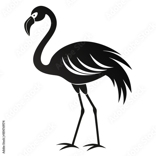 flamingo bird black and white silhouette on white background