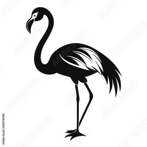 flamingo bird black and white silhouette on white background