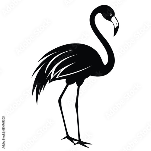 flamingo bird black and white silhouette on white background