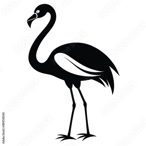 flamingo bird black and white silhouette on white background