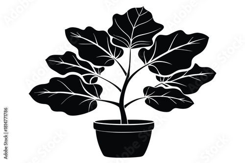 fiddle leaf fig black and white silhouette