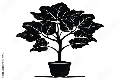 fiddle leaf fig black and white silhouette