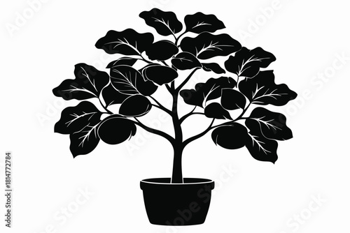 fiddle leaf fig black and white silhouette