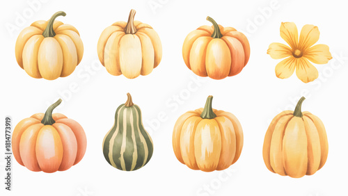 Halloween pumpkin watercolor collection. Rustic halloween pumpkin illustration.