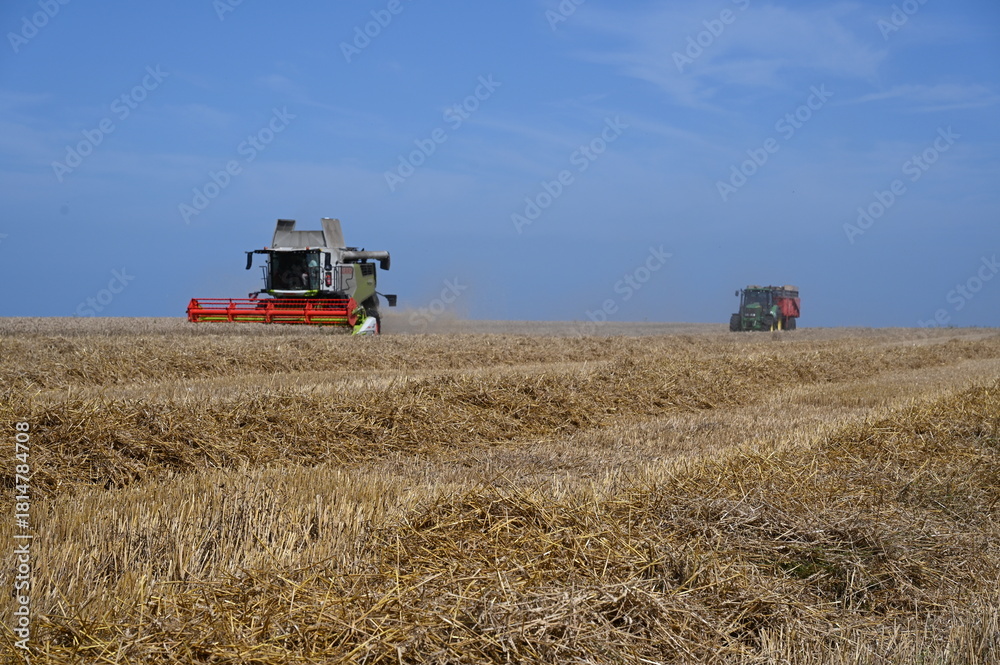 Obraz premium Mähdrescher auf einem Feld