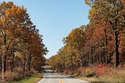 Road Through the Woods in the Fall of Arkansas