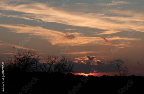 Fall Sunset with Silhouette of Trees