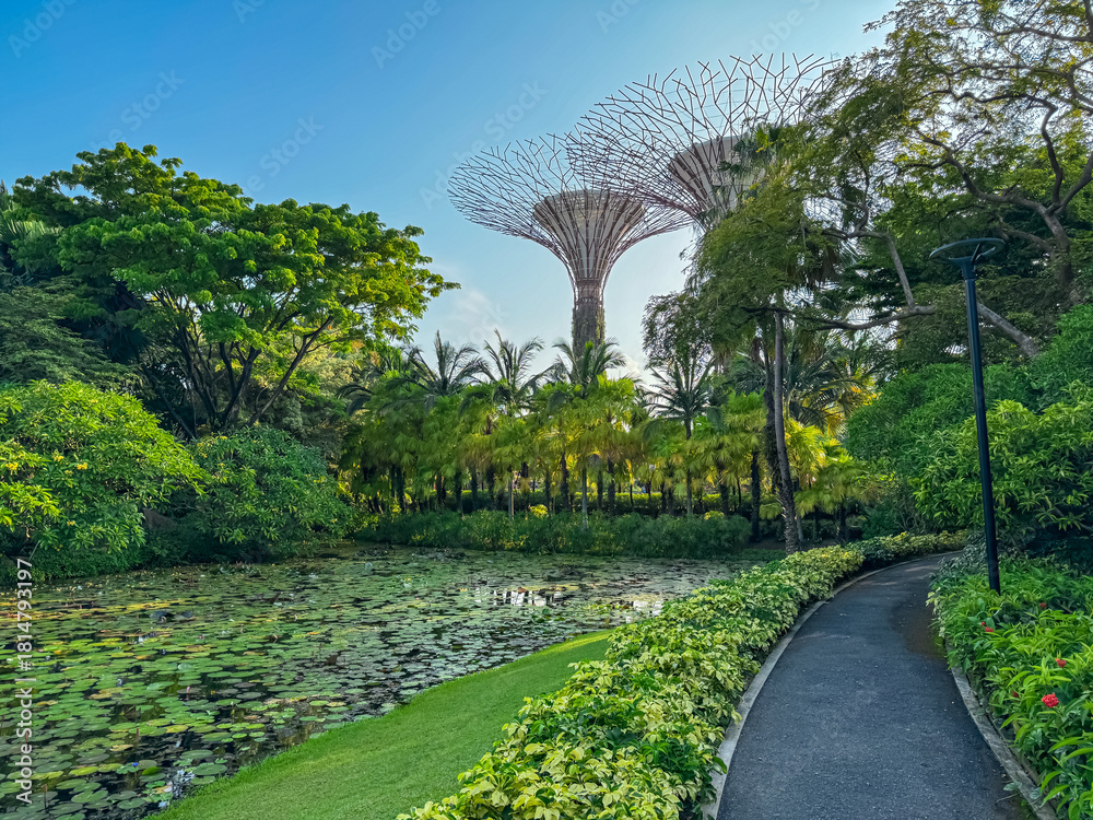Obraz premium A winding pathway borders a peaceful lily pond, offering a scenic journey towards the magnificent Supertree Grove, a world-renowned symbol of Singapore's green urban innovation and public park design.