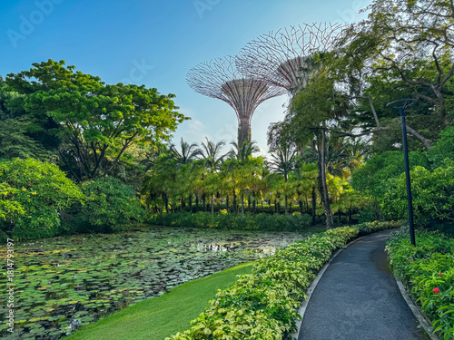 A winding pathway borders a peaceful lily pond, offering a scenic journey towards the magnificent Supertree Grove, a world-renowned symbol of Singapore's green urban innovation and public park design.