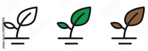 Showcasing plant growth stages for eco-friendly farming, sustainable agriculture or garden care, from sprouting to wilting for your next ecology project