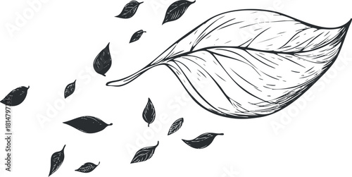 Hand-drawn vector illustration of flowing leaves, showcasing nature's beauty and ideal for eco-friendly designs.