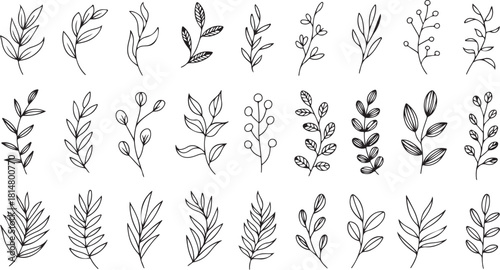 Twenty one hand drawn different leaf and berry branches are showcased with transparent background