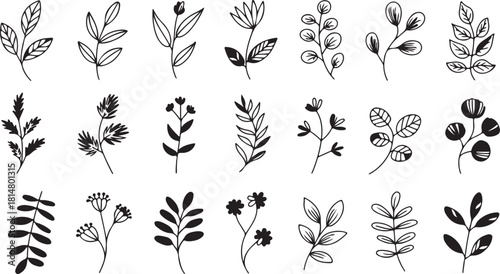 Black botanical doodle pattern showcases various leaf, flower, and stem shapes against a transparent background