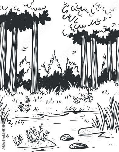 Hand-drawn vector illustration of a serene forest landscape featuring tall trees, a peaceful stream, and lush vegetation for nature-themed projects