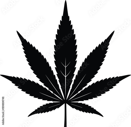Black Silhouette Vector of a Cannabis Marijuana Leaf: Detailed Hemp Plant Graphic for CBD Product Packaging, Dispensary Logo, and Legalization Advocacy Design Element.