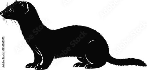 Detailed Weasel or Ferret Black Silhouette Vector: Small Predator Animal Graphic for Wildlife Illustration, Mascot Design, and Nature Conservation Organization Logo.
