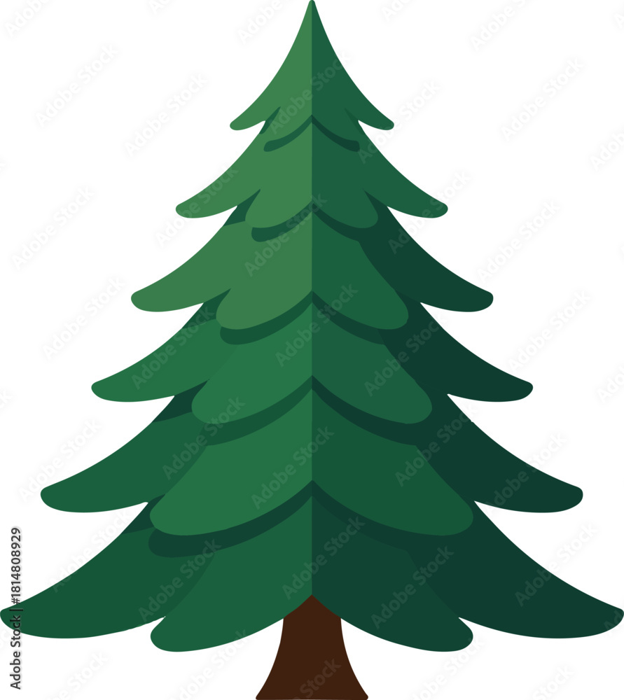 Fototapeta premium christmas tree isolated on white background