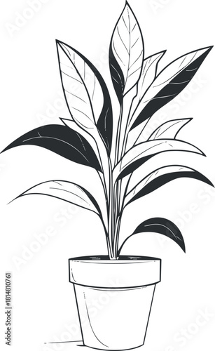 Minimalist outline vector illustration of a potted plant with long leaves, perfect for home decor and interior design projects