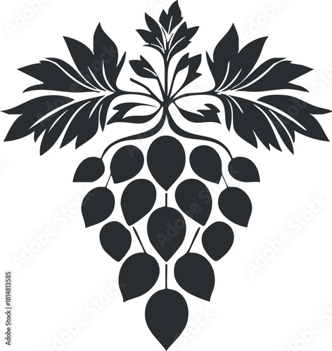 Stylized black silhouette vector illustration of a grapevine with leaves and clusters of grapes for food and nature themes