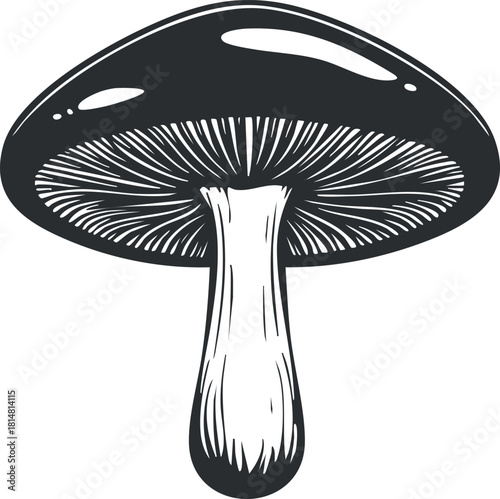 Detailed black and white vector illustration of a mushroom, perfect for nature-themed design projects and culinary uses
