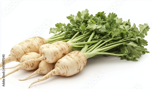 Fresh Parsley and Root Vegetables on a White Background