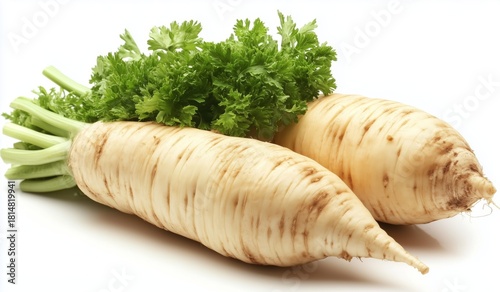 Fresh Parsley and Root Vegetables on a White Background