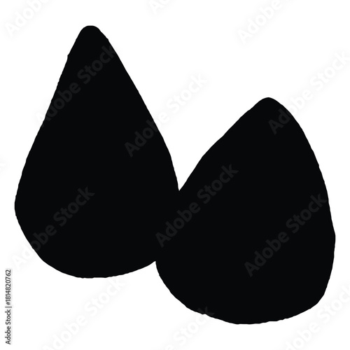Two Black Almond Shapes on White Background seed food